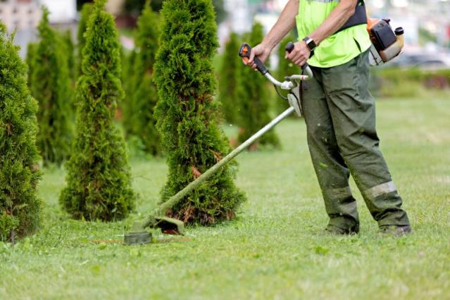 entretenir son jardin