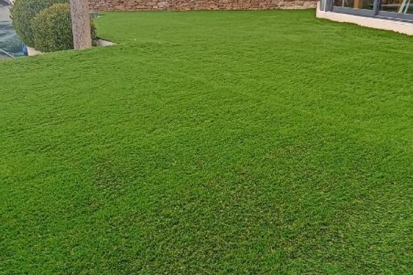 Embellissement d'un jardin en front de maison à La Londe les Maures