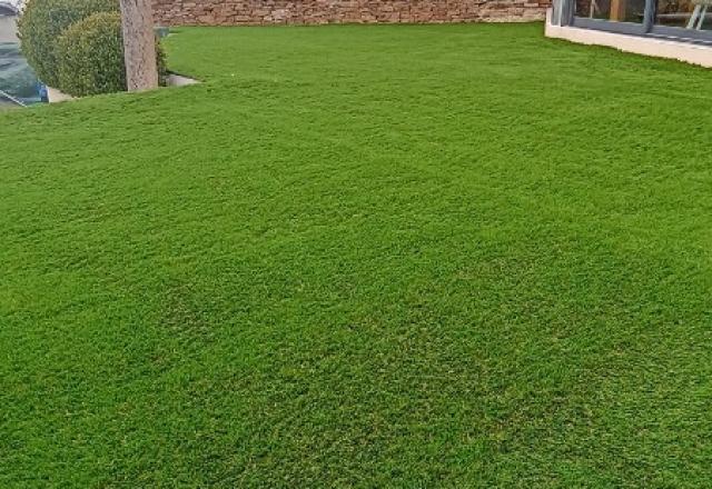 Embellissement d'un jardin en front de maison à La Londe les Maures