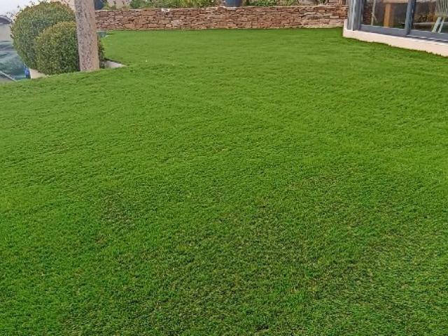 Embellissement d'un jardin en front de maison à La Londe les Maures
